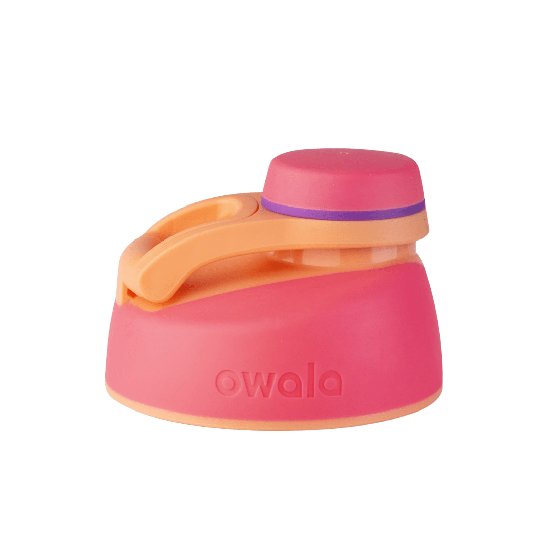 Replacement Lids (6GDL)