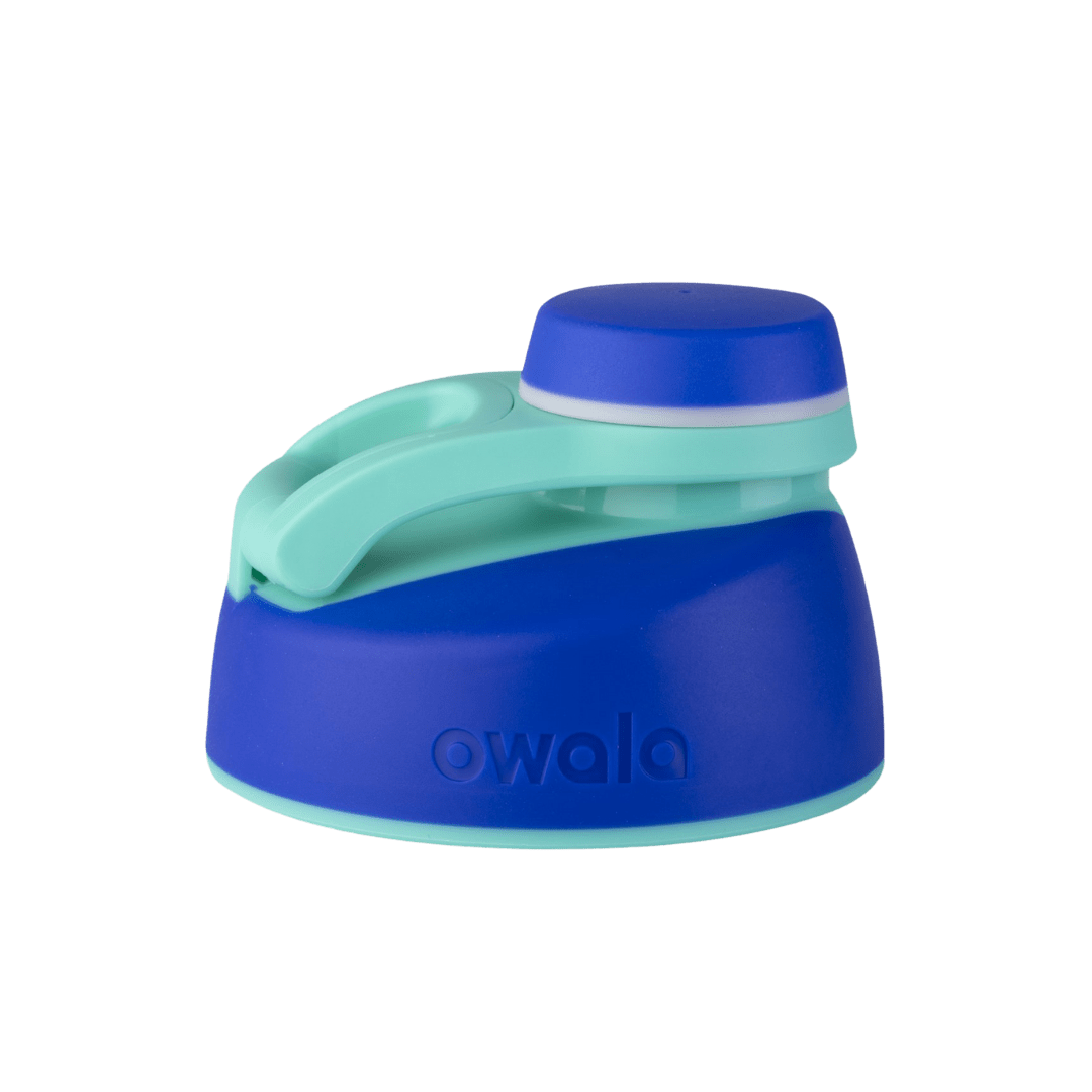 Replacement Lids (6GDL)