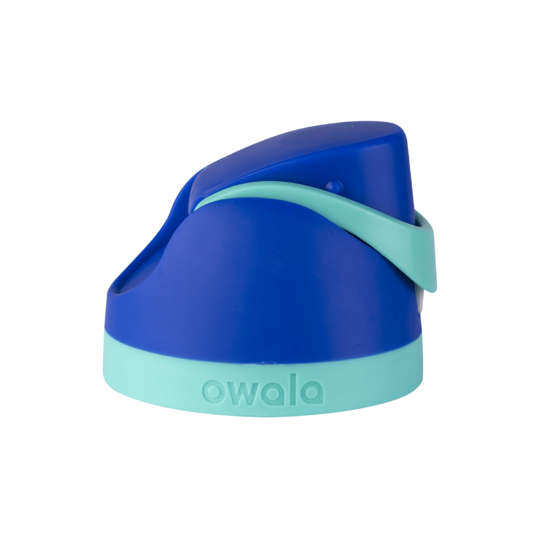 Replacement Lids (6GDL)