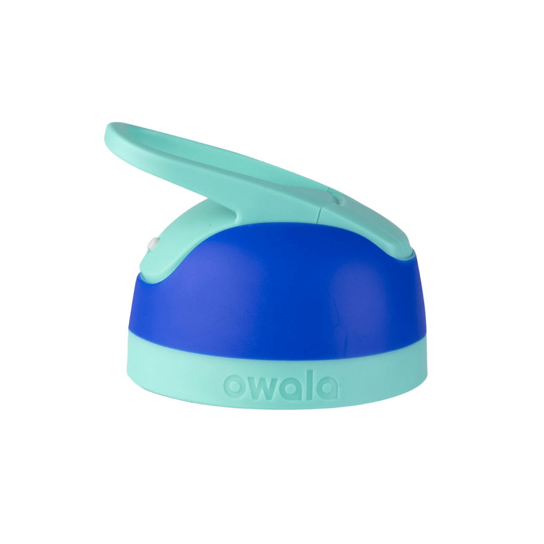 Replacement Lids (6GDL)