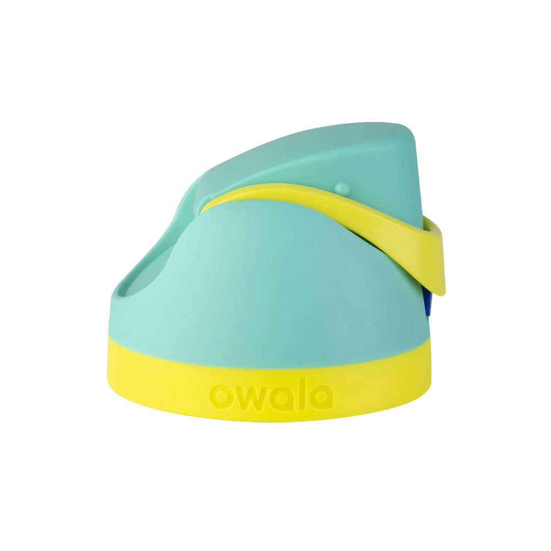 Replacement Lids (6GDL)