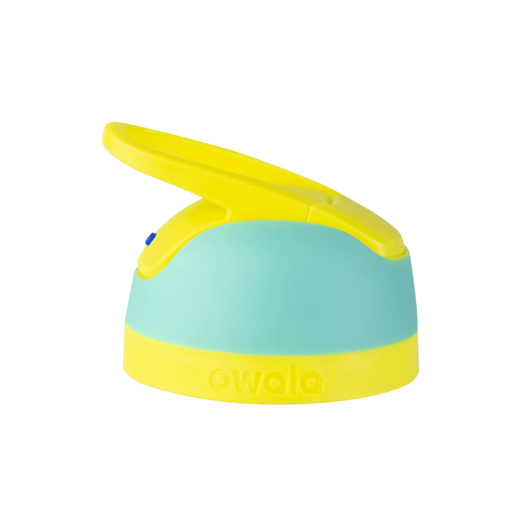 Replacement Lids (6GDL)