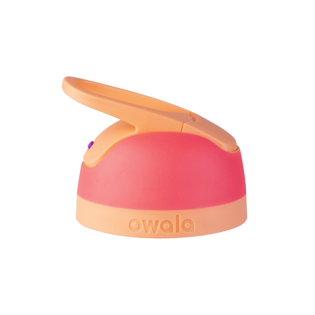 Replacement Lids (6GDL)