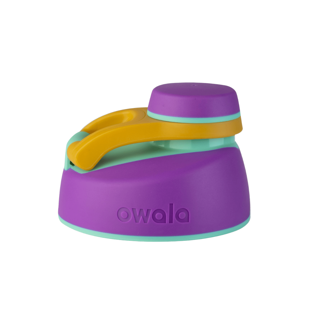 Replacement Lids (6GDL)