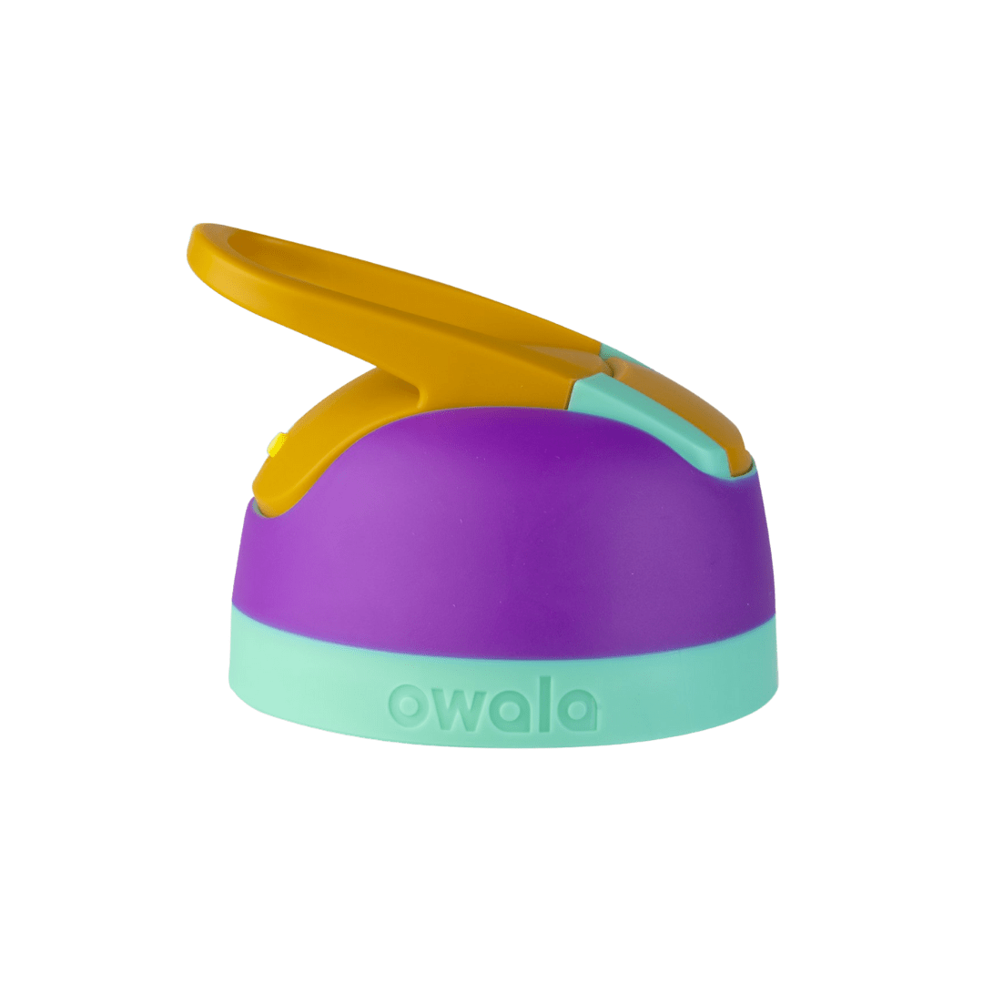 Replacement Lids (6GDL)