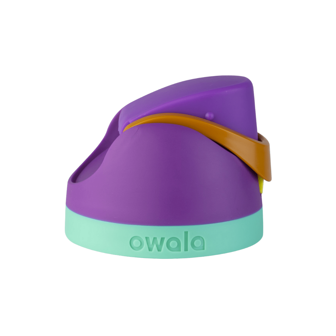 Replacement Lids (6GDL)