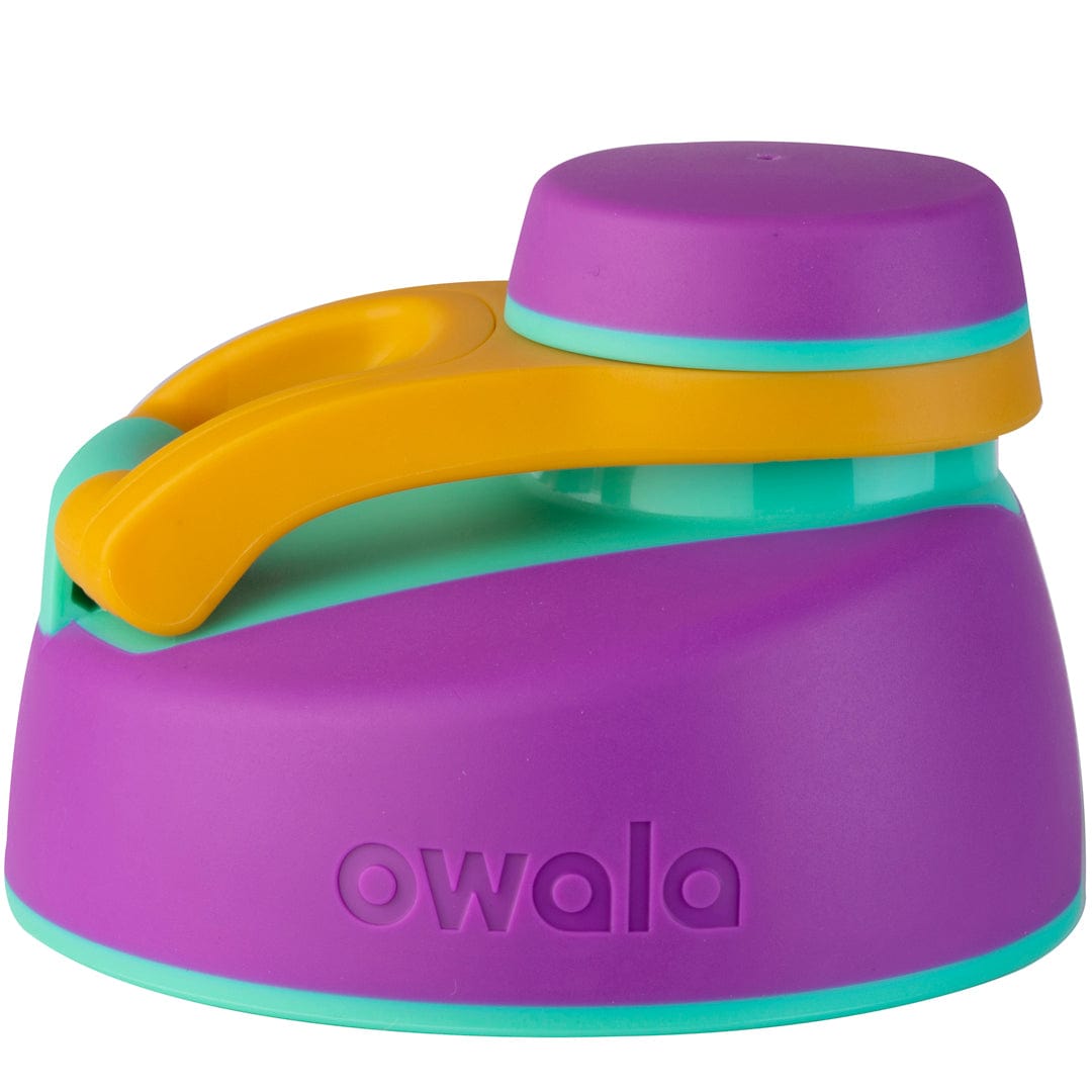 Replacement Lids (6GDL)