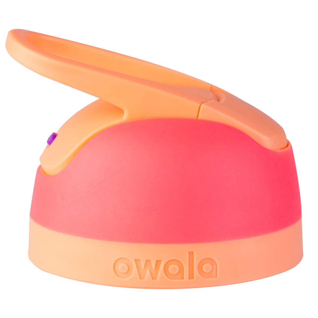 Replacement Lids (6GDL)
