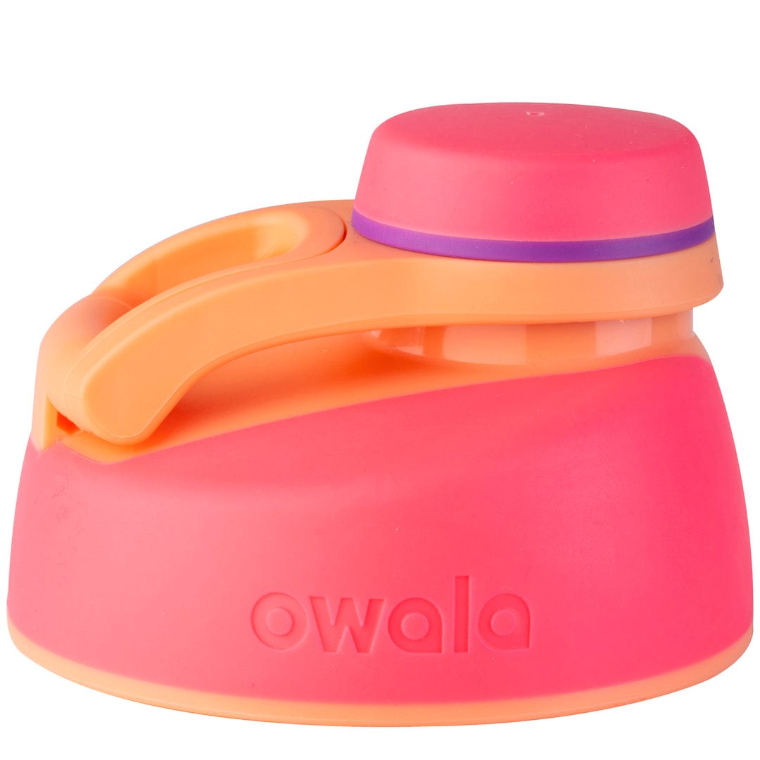 Replacement Lids (6GDL)