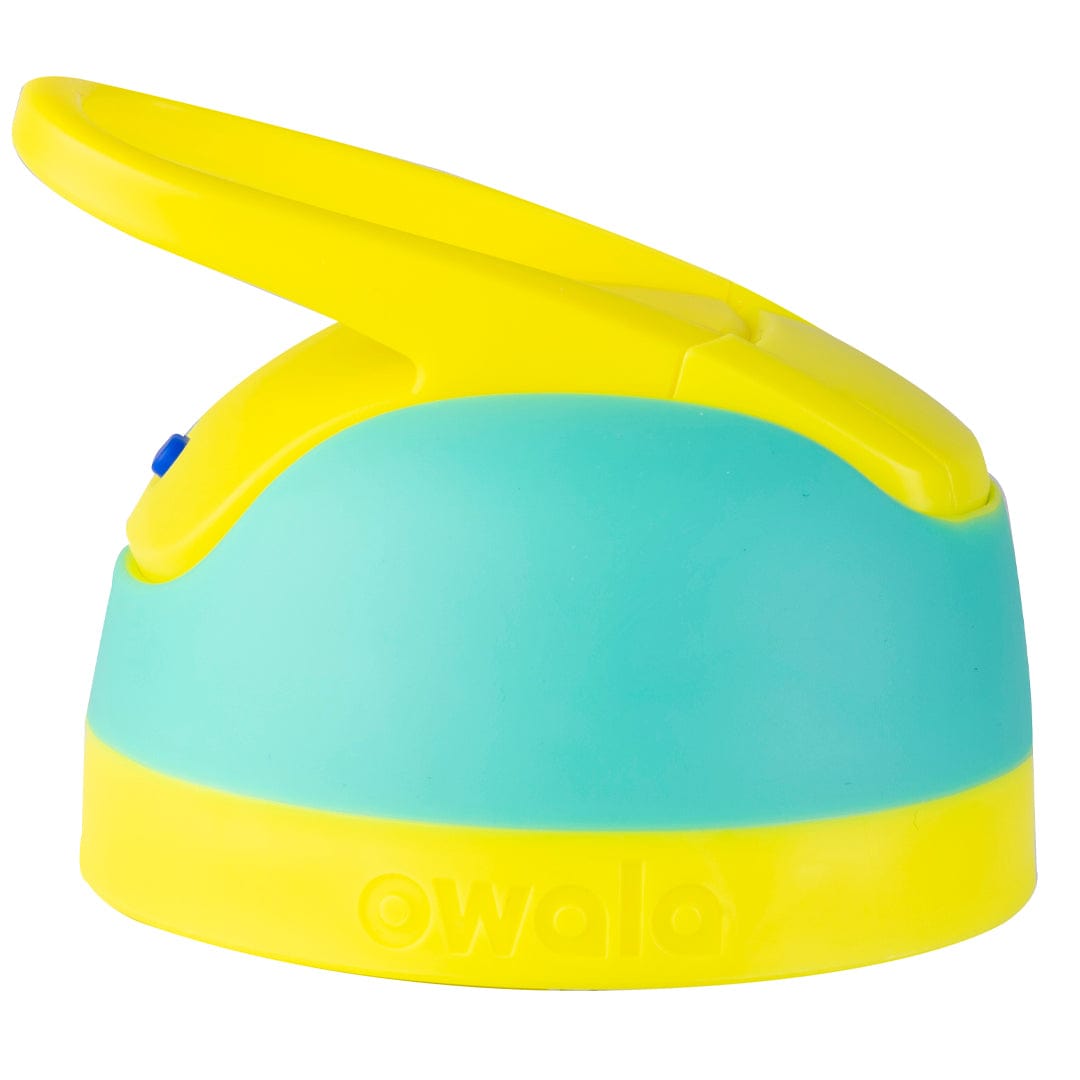 Replacement Lids (6GDL)