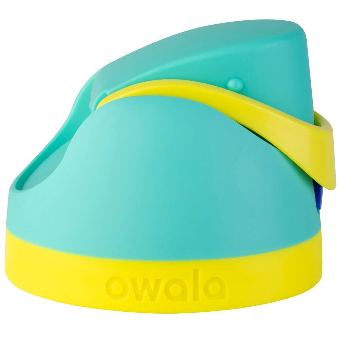 Replacement Lids (6GDL)