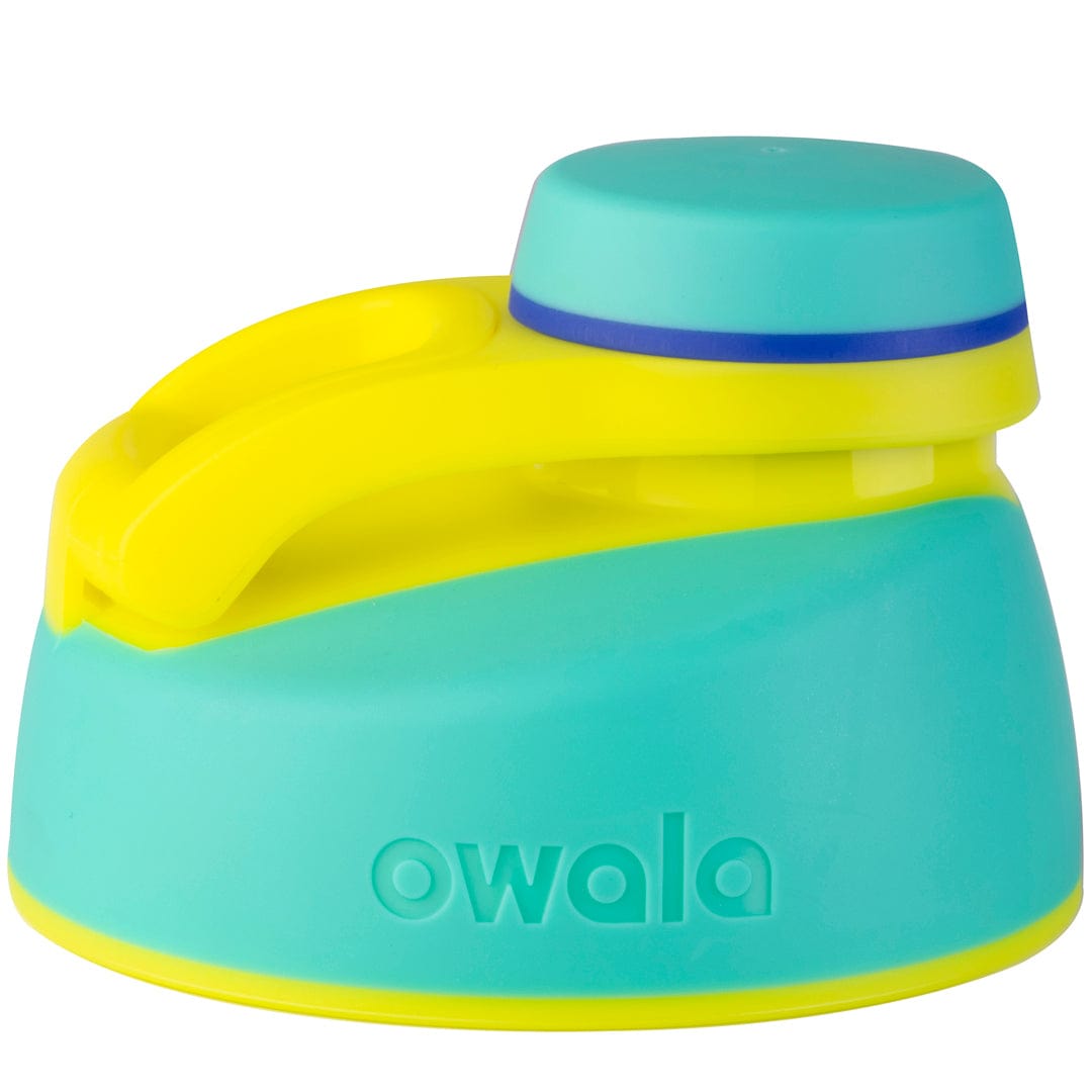Replacement Lids (6GDL)