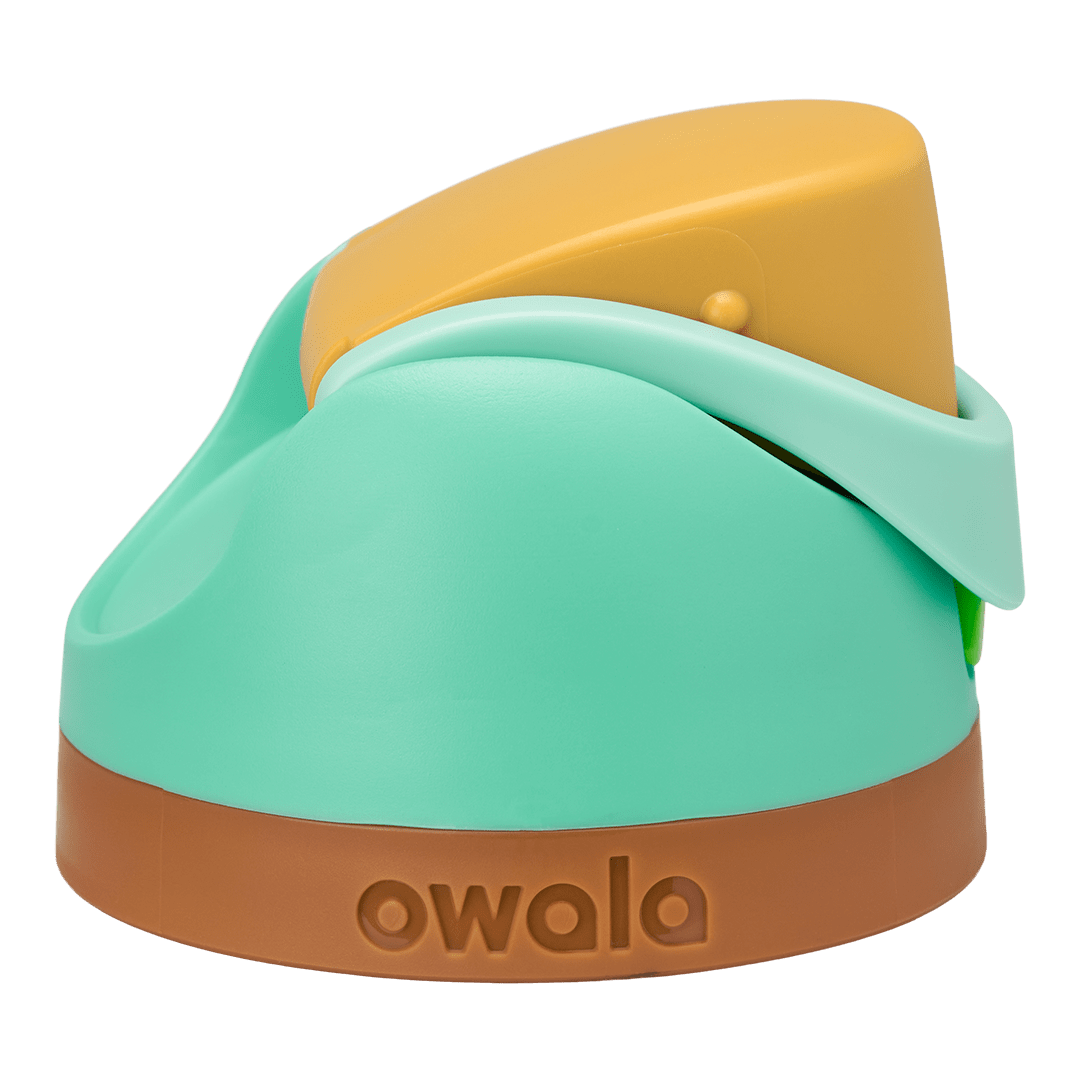 Replacement Lids (6GDL)