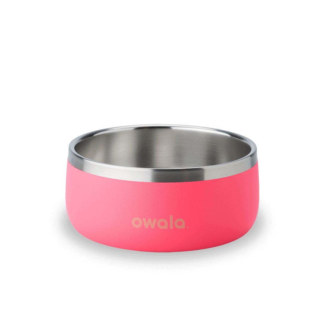 Pet Bowl (5JP7)