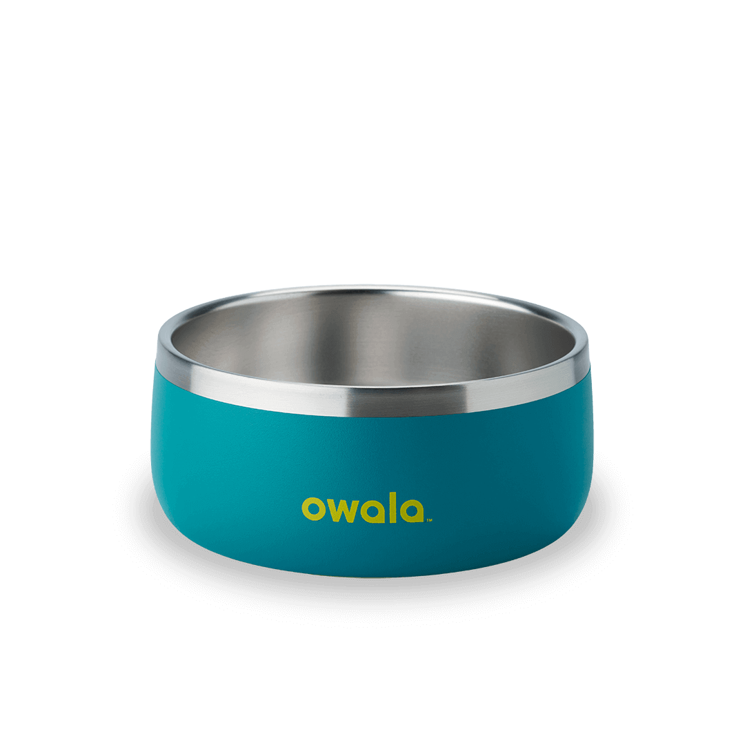 Pet Bowl (5JP7)