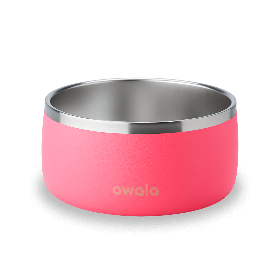 Pet Bowl (5JP7)