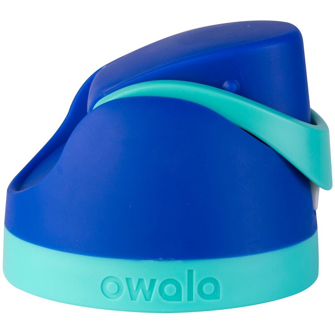 Replacement Lids (6GDL)