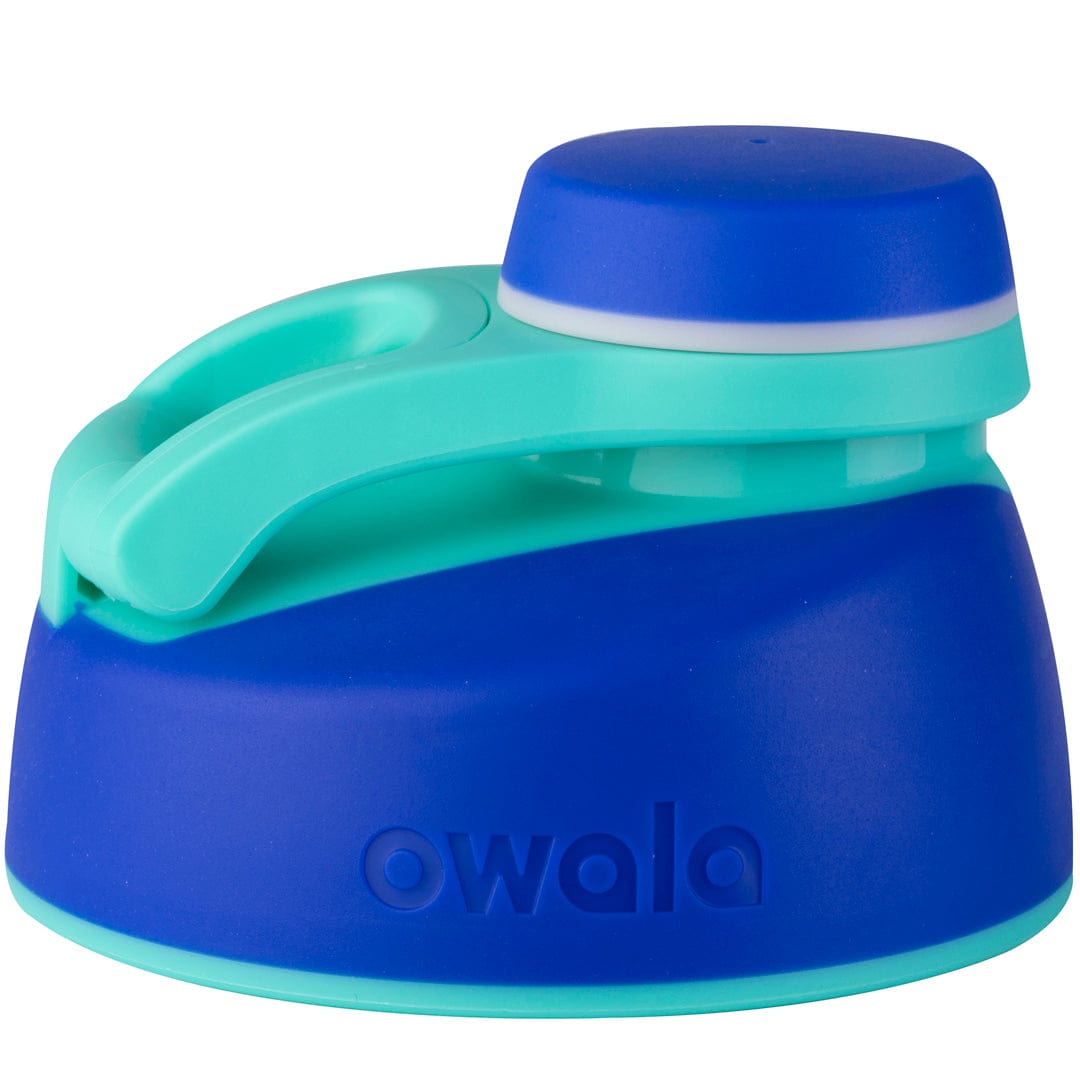 Replacement Lids (6GDL)