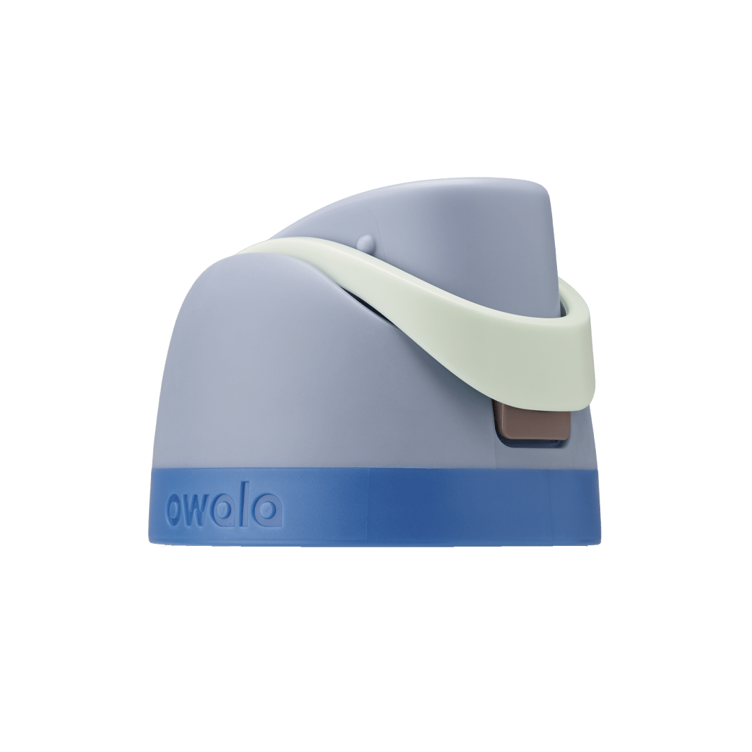 Replacement Lids (6GDL)