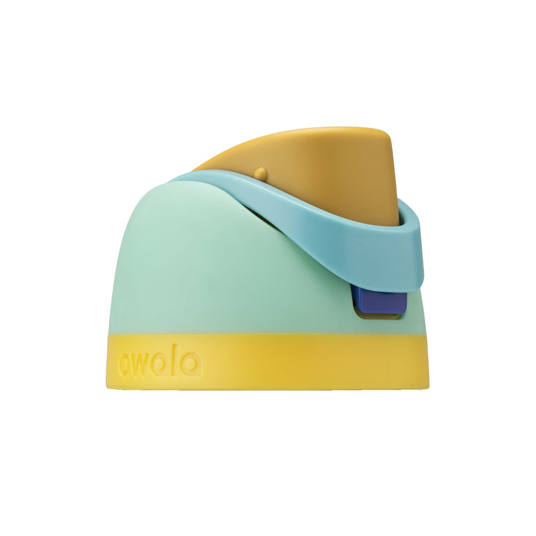 Replacement Lids (6GDL)